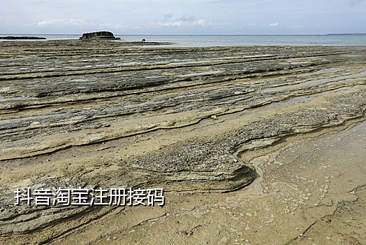 能用的短信接码