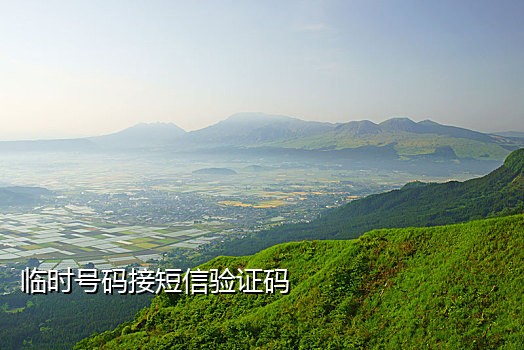 能够接码美国手机号吗