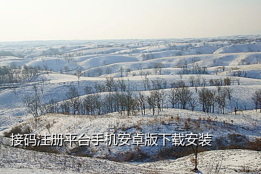 那个接码平台能指定手机号