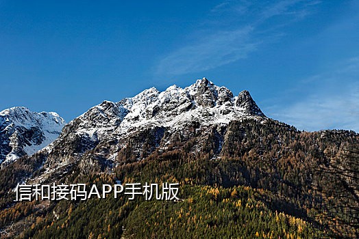 哪些接码平台可以微信充值