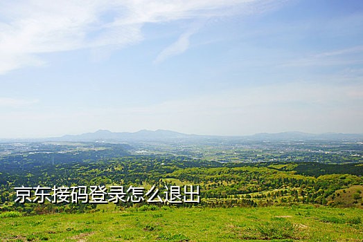 免费手机接码app