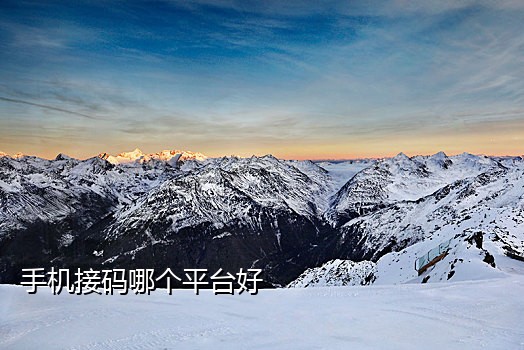免费接码平台手机