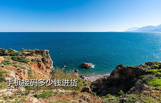 免费接码短信平台源码