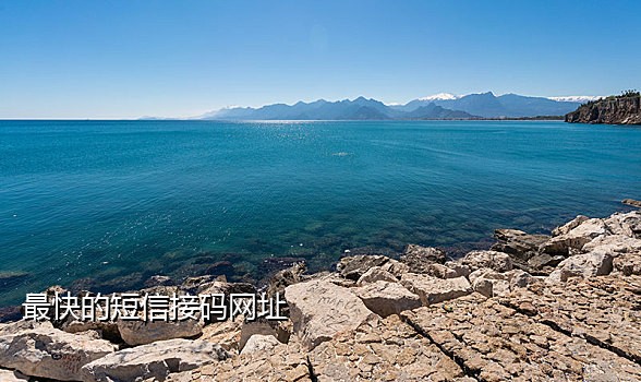 能发短信的接码软件