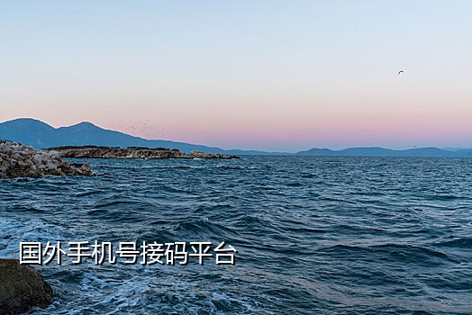 美国手机号接码平台下载