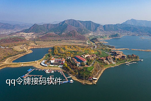 哪个平台可以快手接码