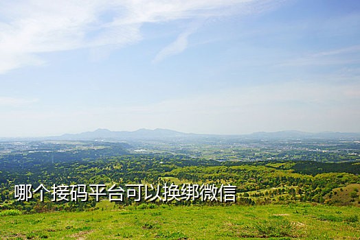 接码微信多少钱一个