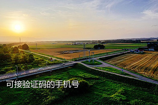 接短信验证码app