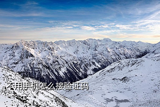 接大陆短信验证码的平台