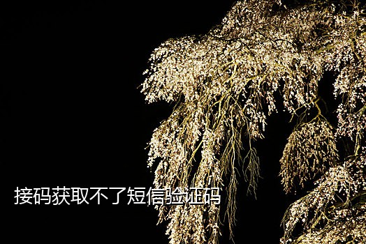 极速接码短信平台