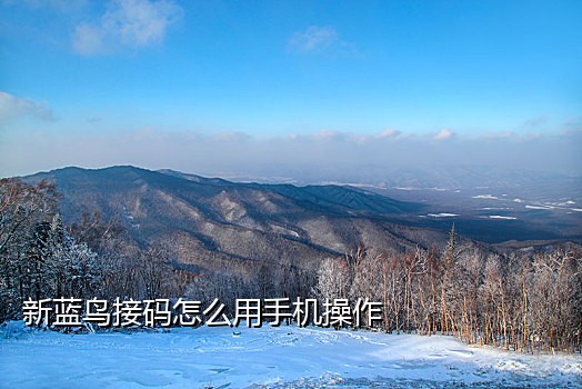 国外手机号接短信验证码