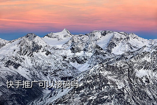 国内短信接码平台
