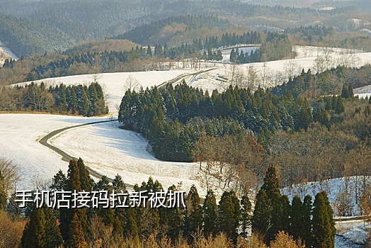 共享云短信接码网址