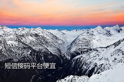 多米接码官网苹果版