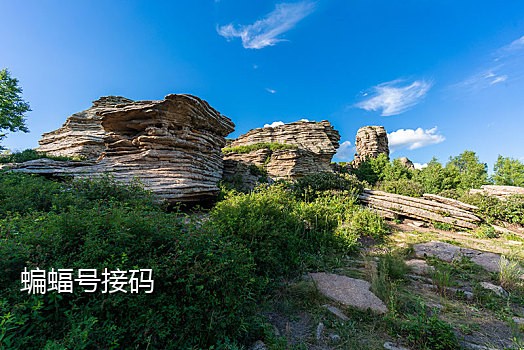 短信接码注册脸书安全吗