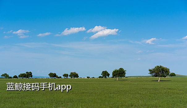 短信接码渠道有哪些