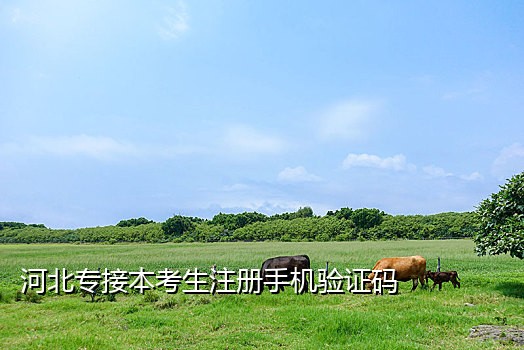 短信接码平台收费