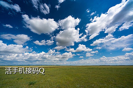 短信接码平台还能赚钱吗