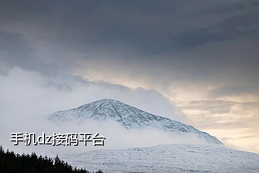 短信接码平台管用吗