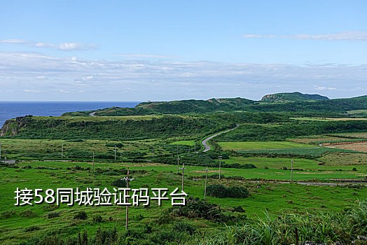 短信接码平台官网