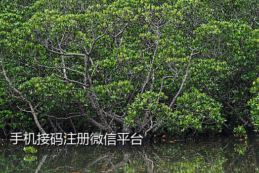 短信接码1001短信接码