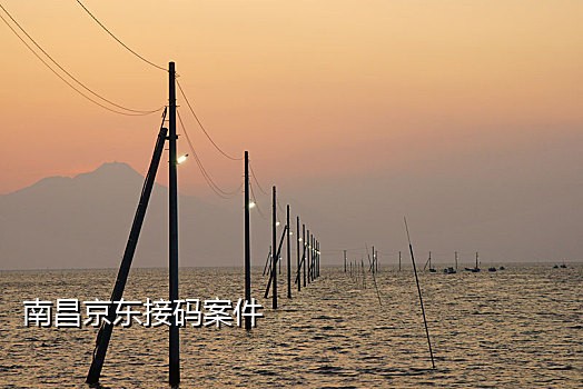 抖音接码咋挣钱的