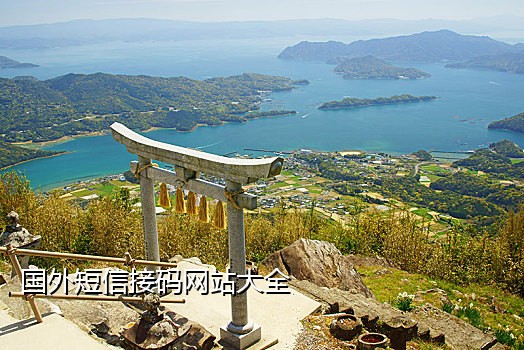 抖音极速版接码什么意思