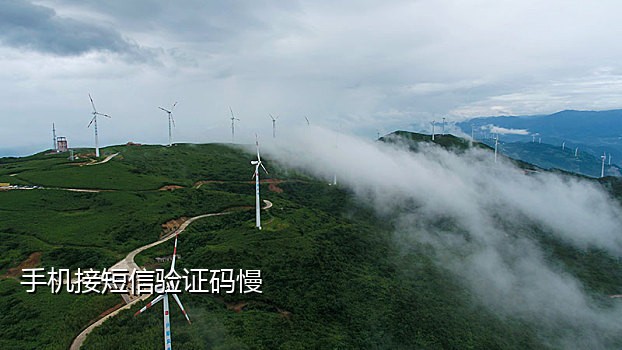 代接短信验证码网站怎么弄