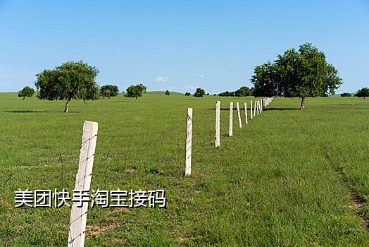 美团账号注册接码是什么