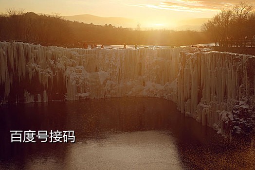 美团新客接码