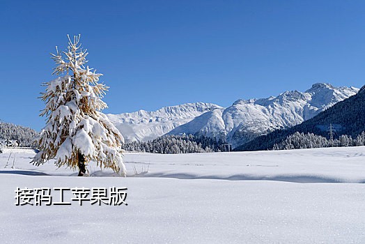 美团外卖的接码平台