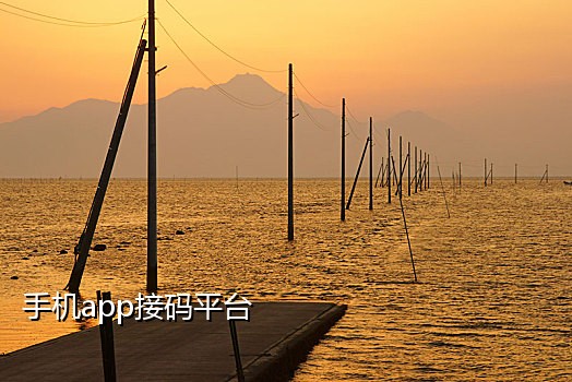 美团快手淘宝接码