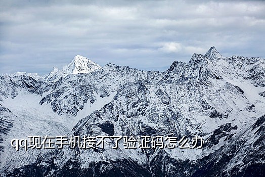 qq号接码平台