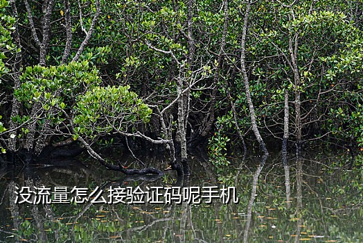 美团接码首单