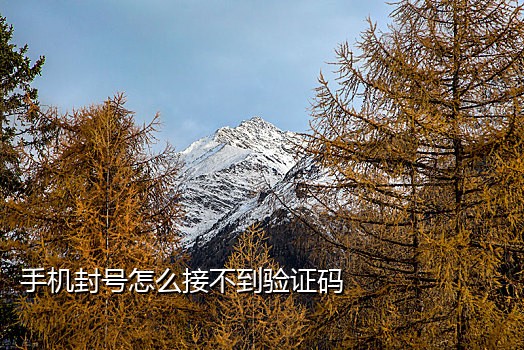 美团接码是干啥的
