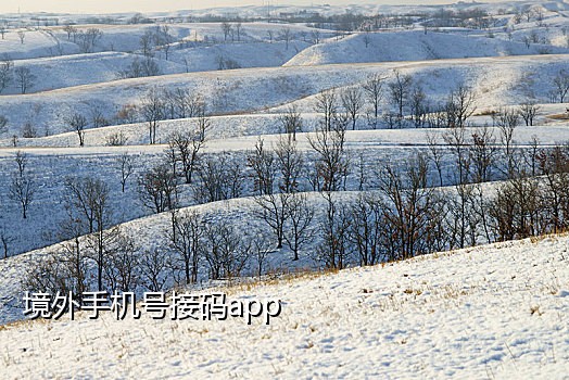 Google美国短信接码