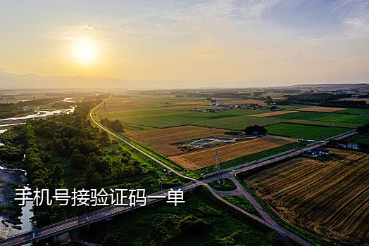 美国真实手机卡接码