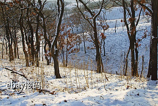 支付宝老是要接验证码怎么解决