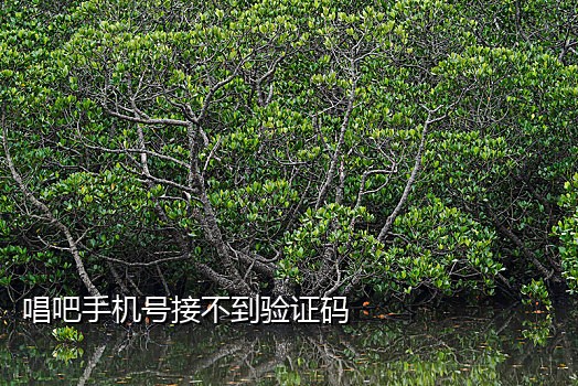 怎么接不到国外短信验证码