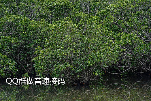 怎么从手机卡上面接验证码