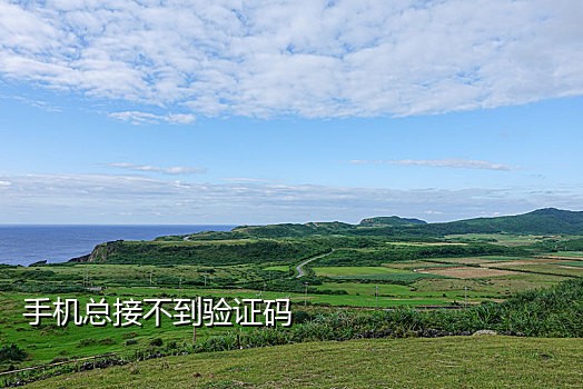 在线接验证码知乎