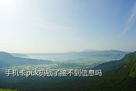 有手机号怎么接验证码短信