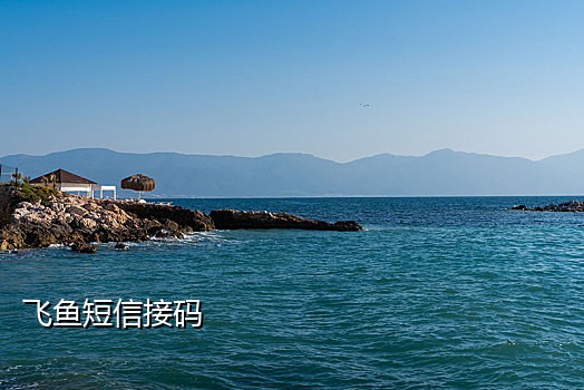 有免费手机接码平台吗
