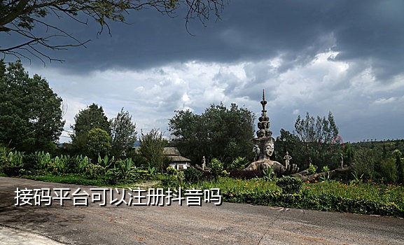 有了手机号怎么接码