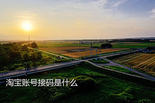 亿通手机接码