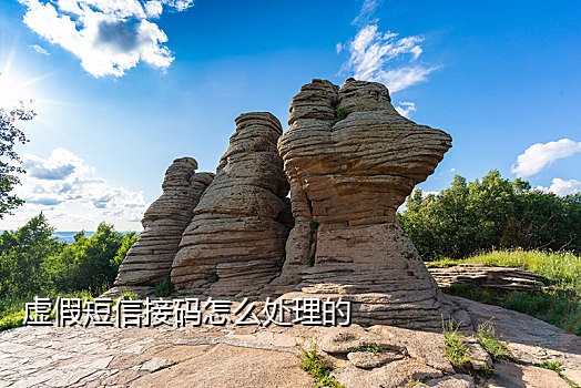 椰子接码短信平台