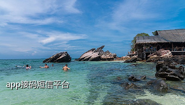 亚马逊82端口接码