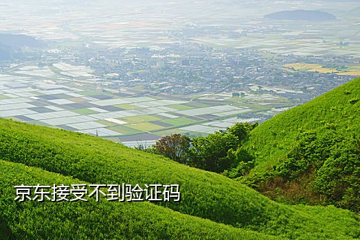虚拟卡接码短信验证码平