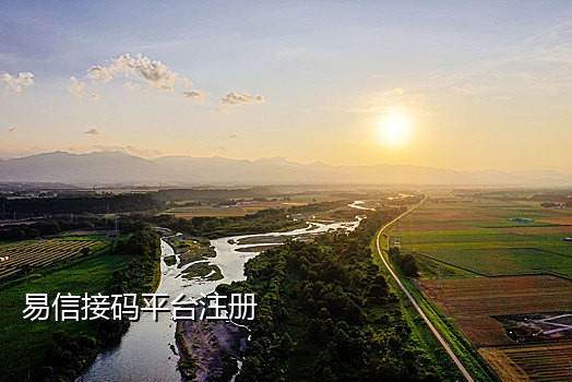虚拟号短信接码平台