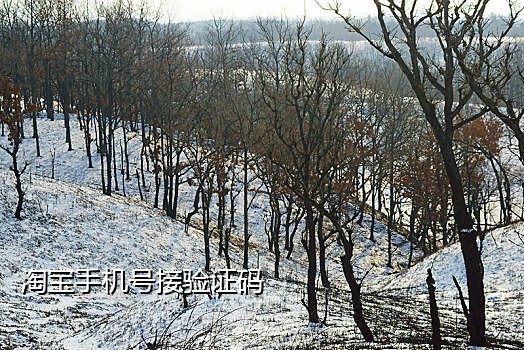 新加坡手机接码软件下载